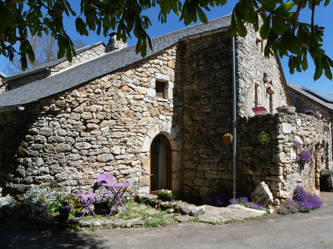 photo 0
