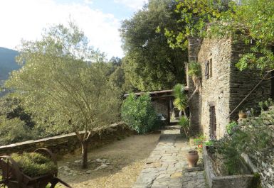G&icirc;te n&deg;48G130440 SAINT-GERMAIN-DE-CALBERTE - Loz&egrave;re - G&Icirc;TE LE MAZELET HAUT 2/4 personnes - En arrivant au g&icirc;te|mazelet
