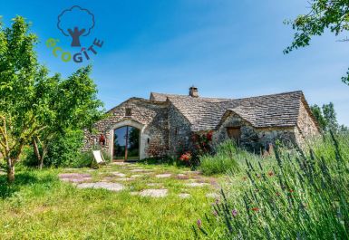 G&icirc;te n&deg;48G123440 SAINT PIERRE DES TRIPIERS - Loz&egrave;re - G&icirc;te de l'Aire &agrave; La Viale - photo