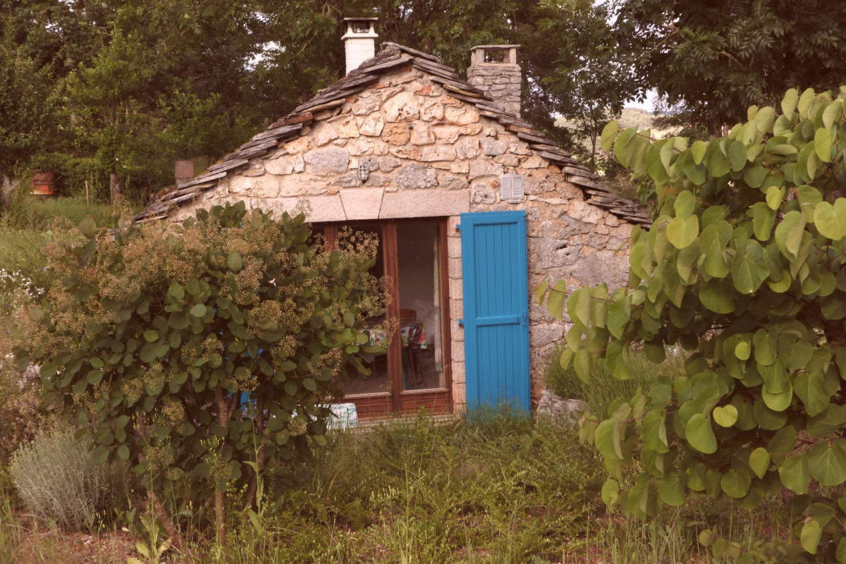 photo 0