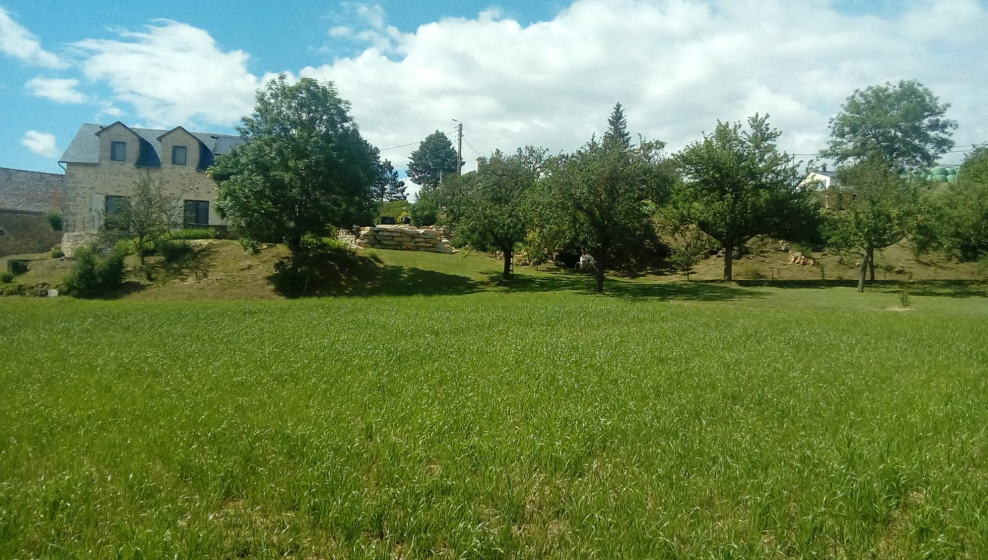 photo 51